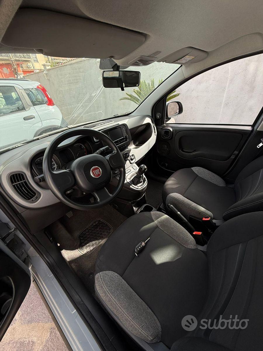 fiat panda