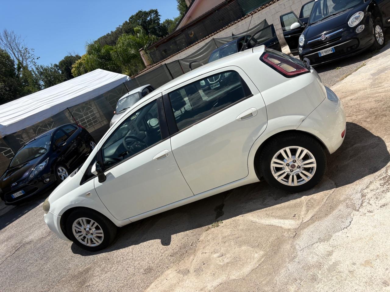 Fiat Punto Evo 1.4 5 porte Active EasyPower