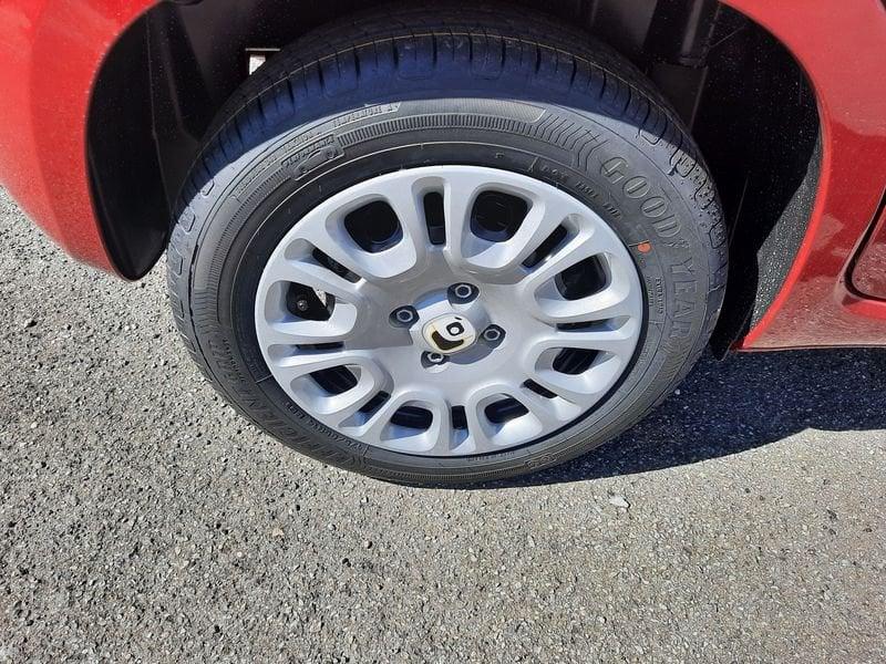 FIAT Pandina PANDA MY26 1.0 65CV HYBRID ICON