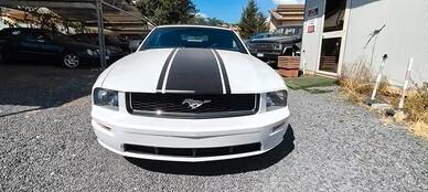 Ford Mustang shelby