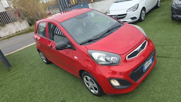 Kia Picanto 1.0 12V EcoGPL 5 porte City neopatentati