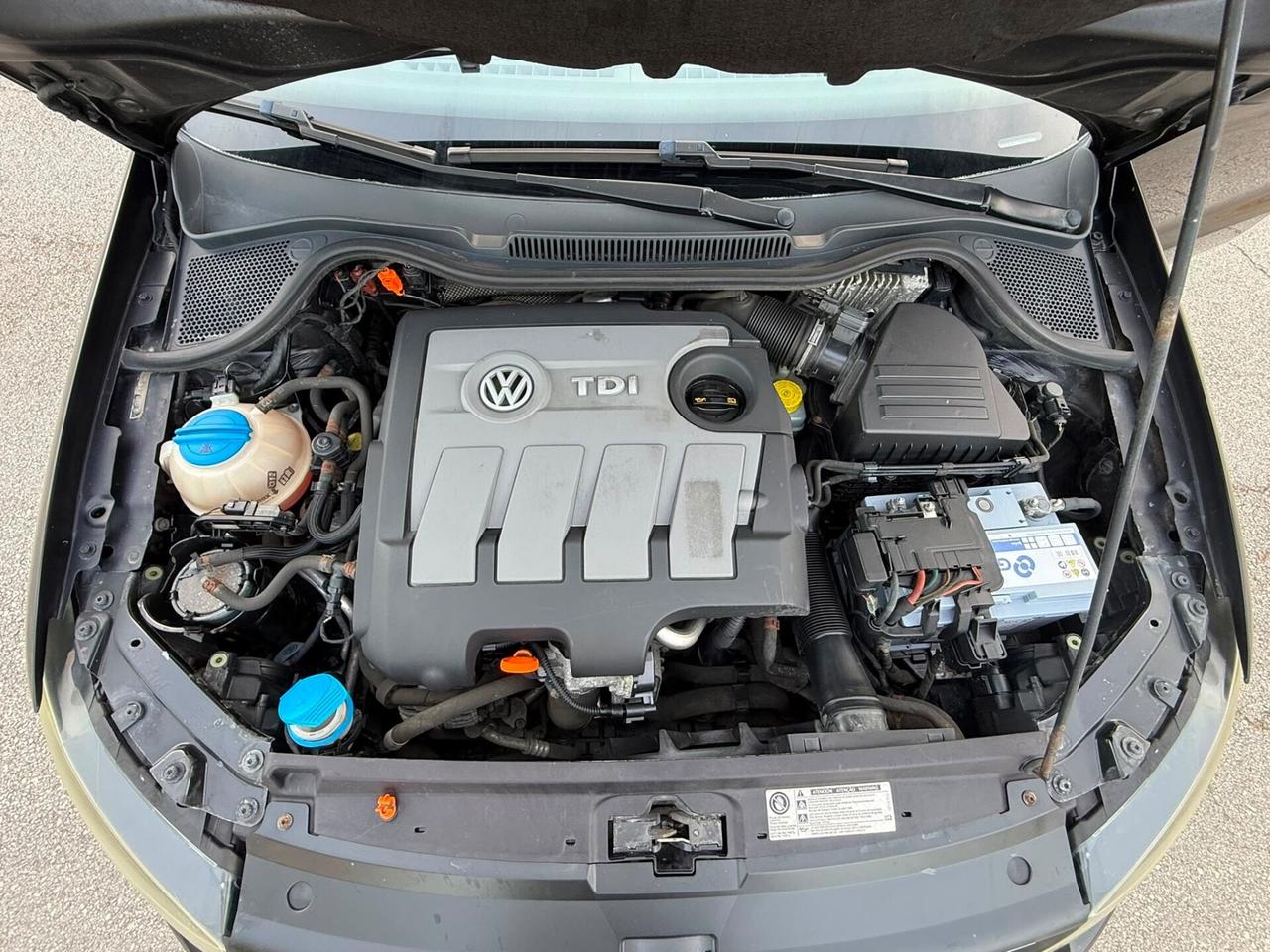 Volkswagen Polo Diesel 1.6 TDi 75cv Neopatentati