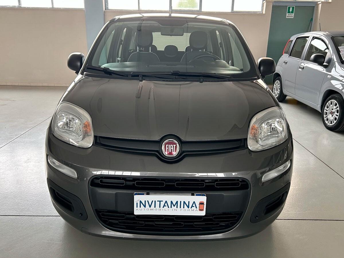 Fiat Panda 1.2 69cv Easy