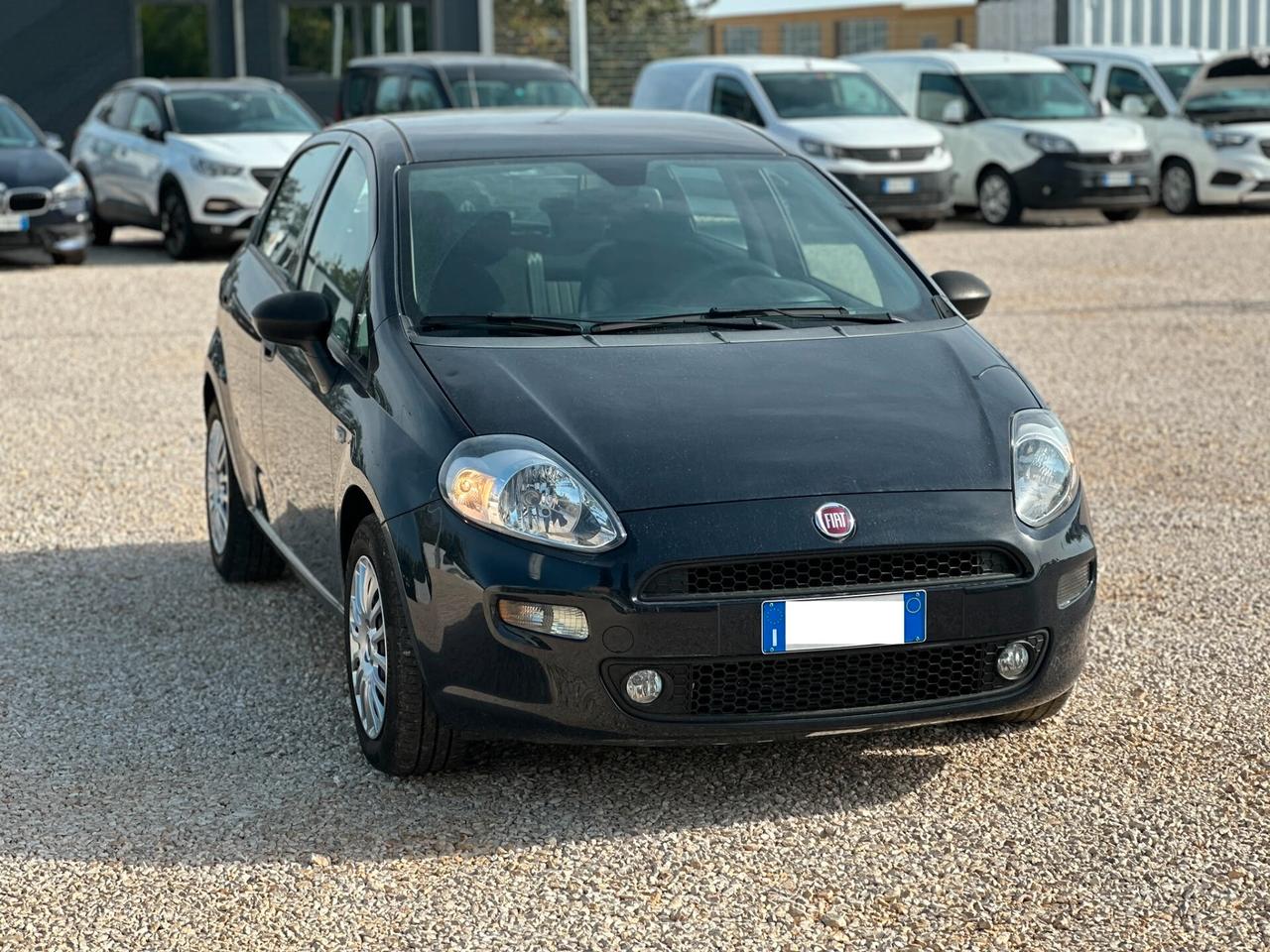 Fiat Punto 1.3 95CV 5 porte Street