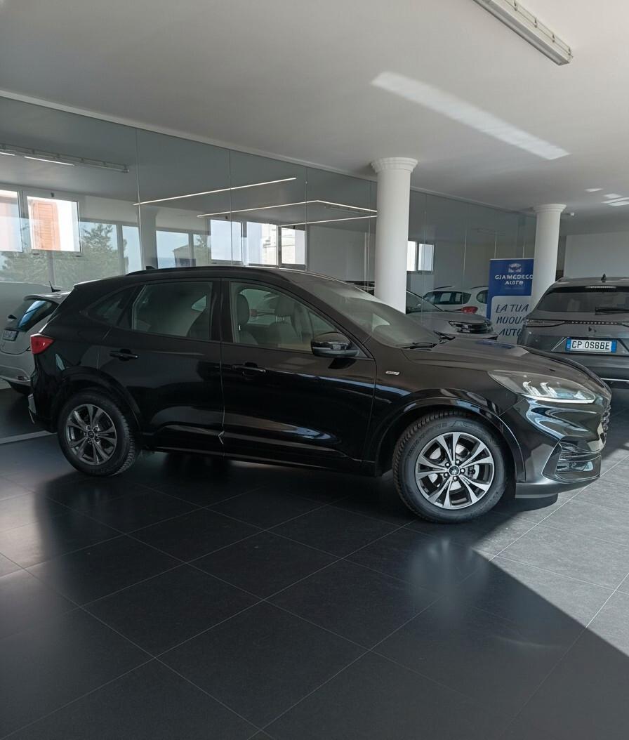 Ford Kuga 1.5 EcoBlue 120 CV aut. 2WD ST-Line