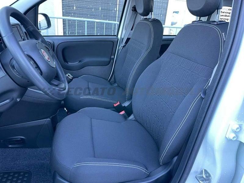FIAT Pandina Pandina 1.0 65cv Hybrid Icon