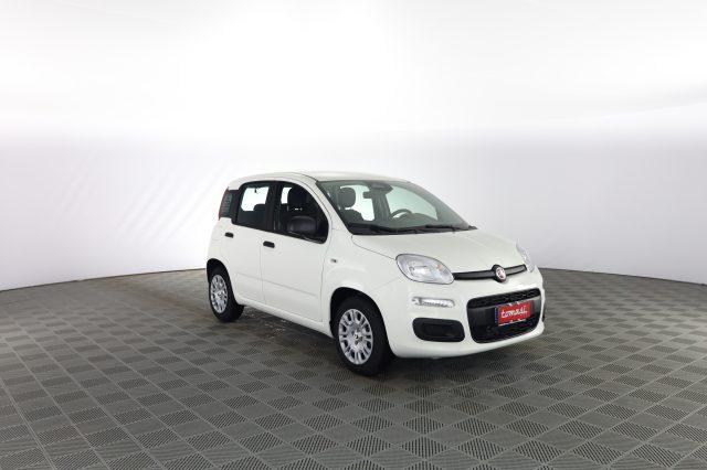FIAT Panda Pandina 1.0 FireFly 65 CV Hybrid Icon