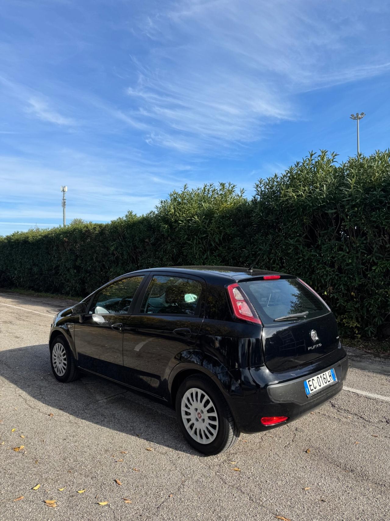 Fiat Punto Evo 1.2 5 porte Dynamic