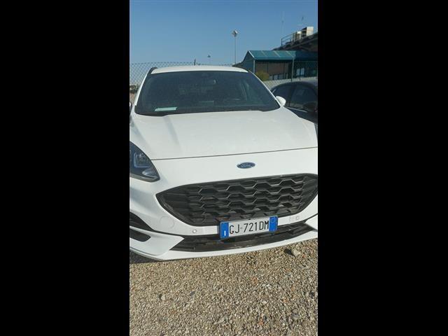 FORD Kuga 1.5 EcoBlue 120cv ST-Line X 2WD Auto