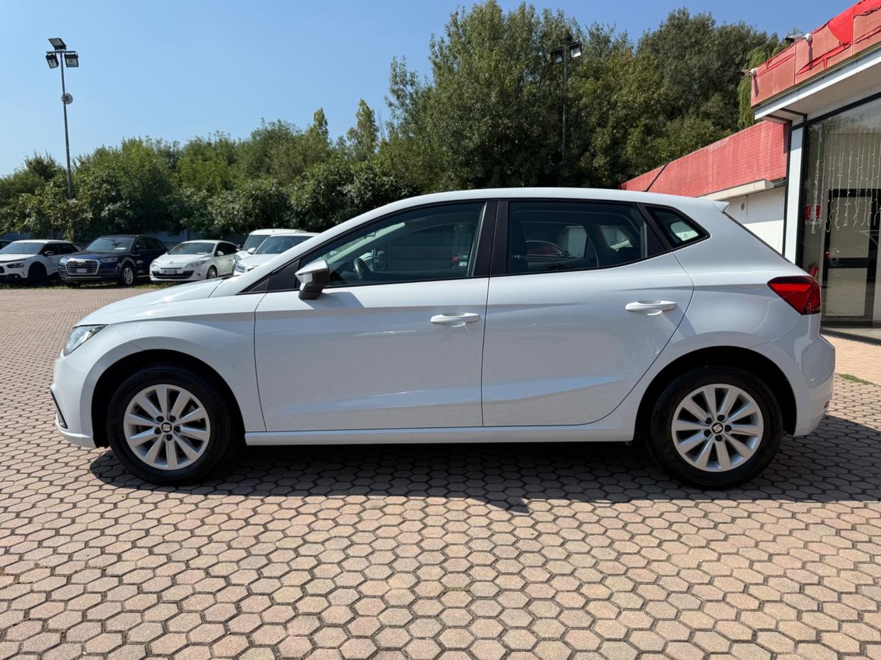 Seat Ibiza 1.6 TDI 95 CV 5 porte Business OK NEOPATENTATI