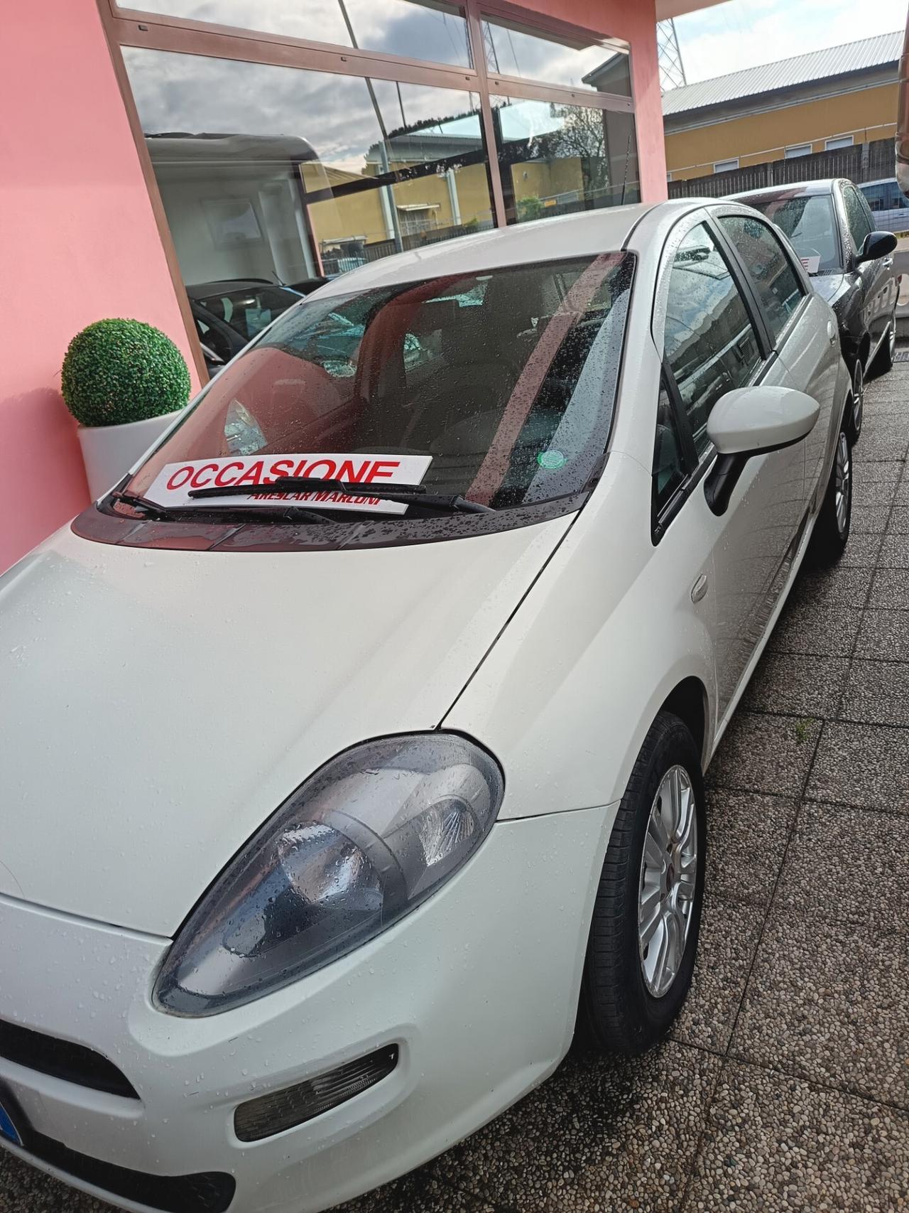 Fiat Punto Evo Punto Evo 1.4 5 porte S&S Dynamic