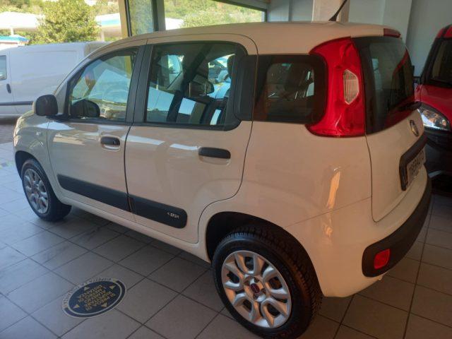 FIAT Panda KM 24337 !!!! M/CASA MADRE