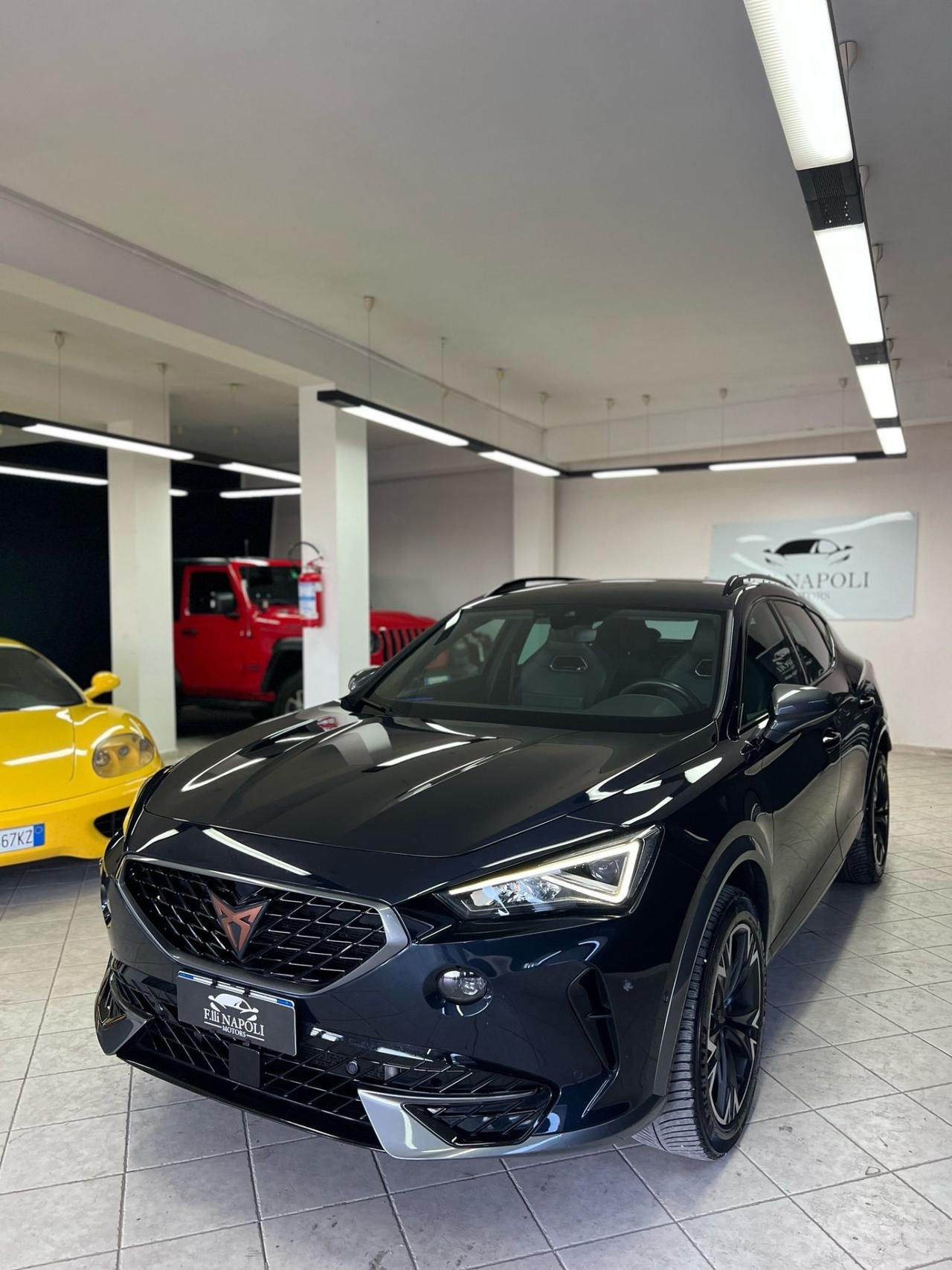 Cupra Formentor 2.0 TDI 4Drive DSG