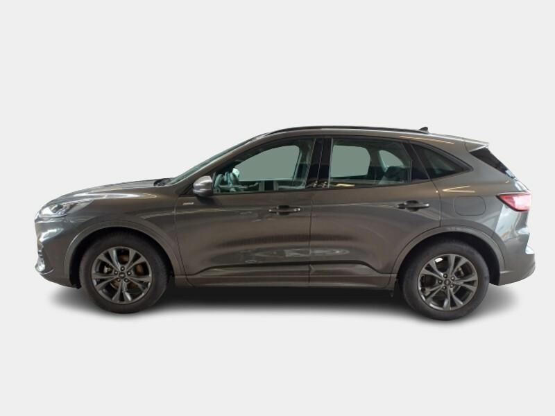 FORD KUGA 2.0 EcoBlue 120CV 2WD ST-Line Auto
