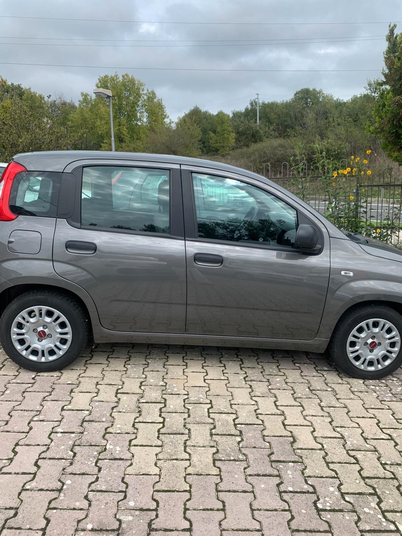 FIAT PANDA 1.0 FireFly 70CV S&S HYBRID 2022