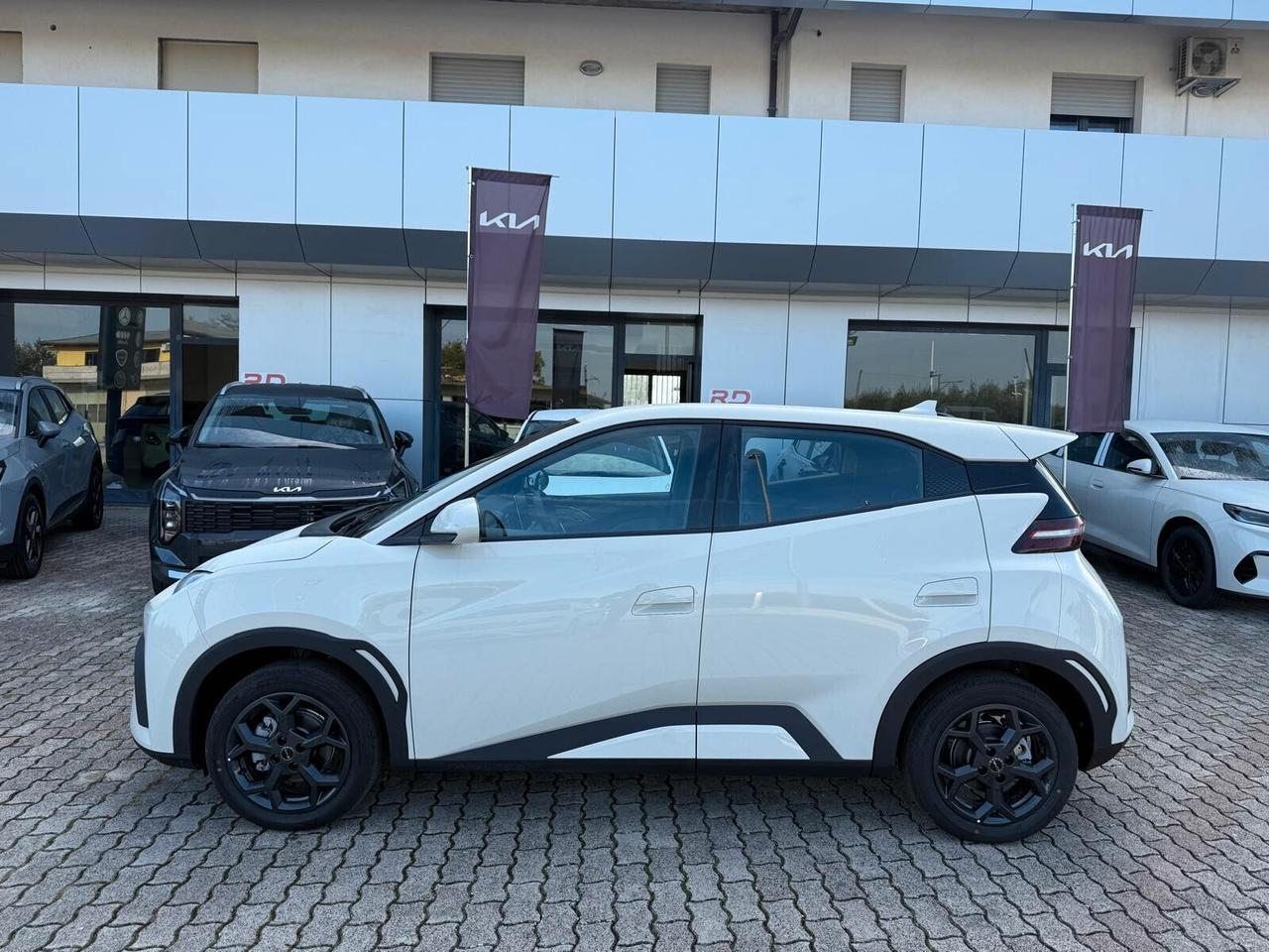 Byd Dolphin 60,4 kWh boost