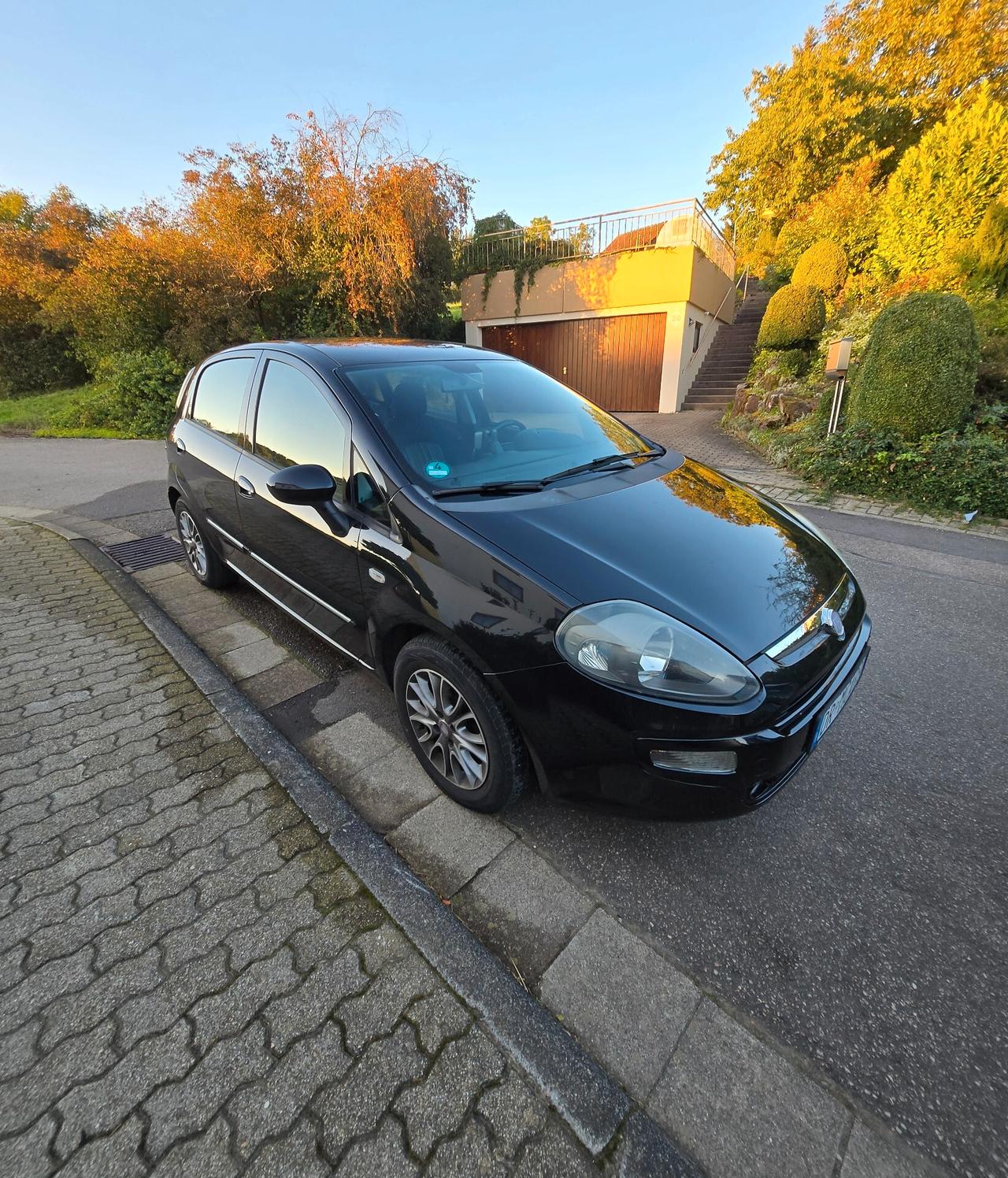 Fiat Punto Evo 1.2 5 porte Dynamic