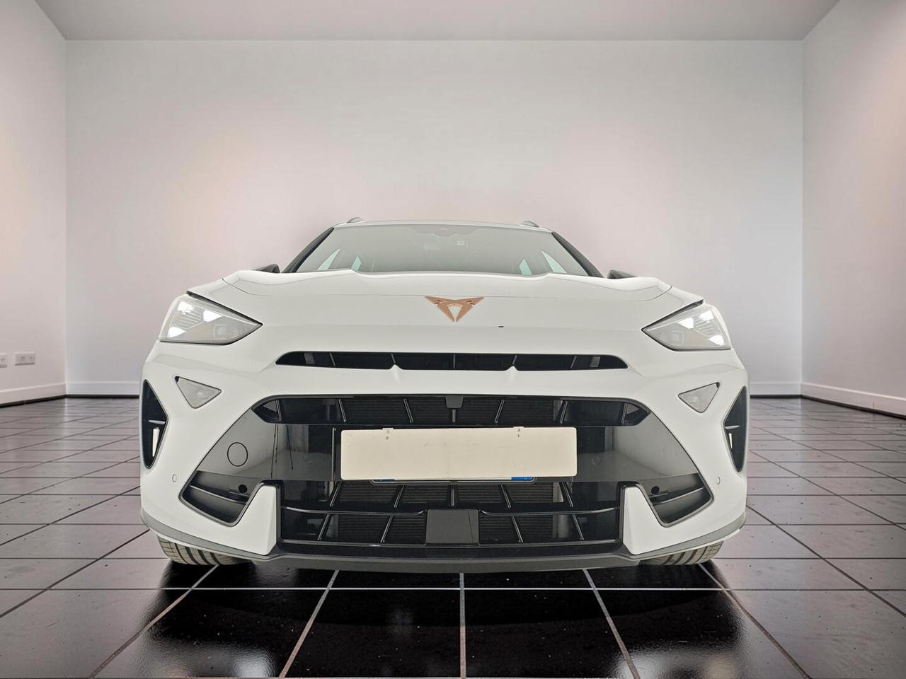 Cupra Formentor TDI DSG 150 cv Formentor Led Pelle Alcantara