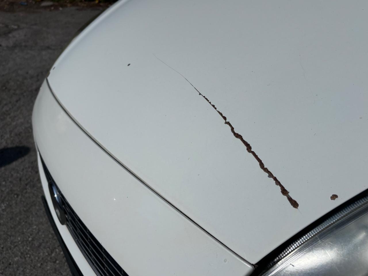 Fiat Grande Punto 1.2 3 porte Active