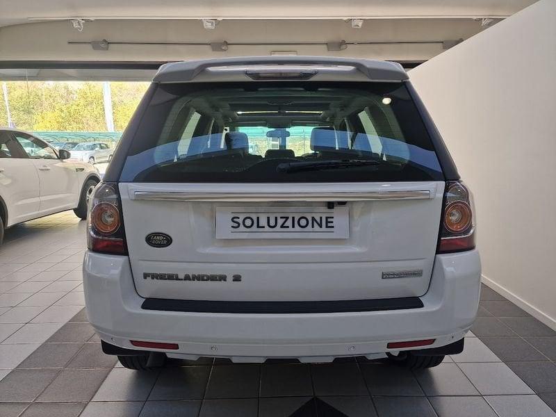 Land Rover Freelander Freelander 2.2 SD4 S.W. HSE Luxury 4WD TETTO APRIBILE