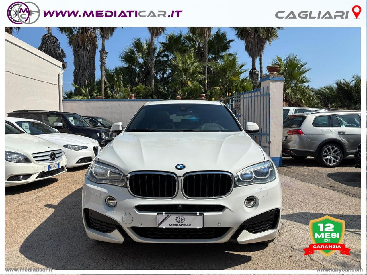 BMW X6 xDrive30d 249CV Msport