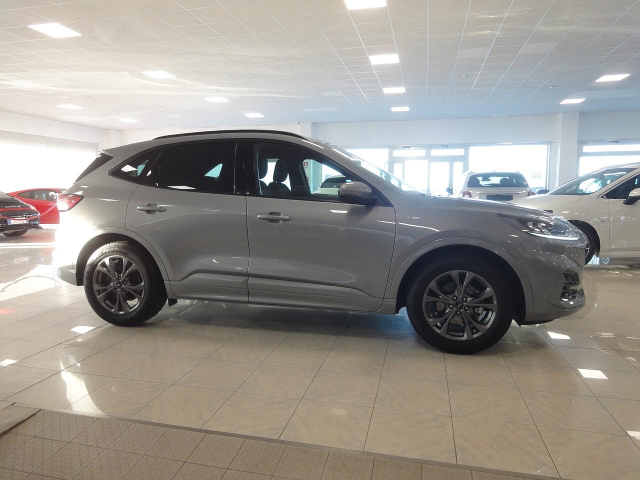 Ford Kuga 1.5 EcoBlue 120 CV aut. 2WD ST-Line