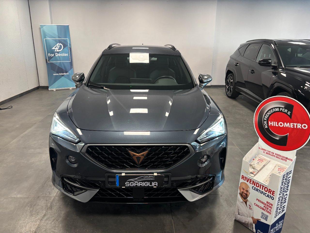 Cupra Formentor 1.5 Benzina DSG Automatico StraFull