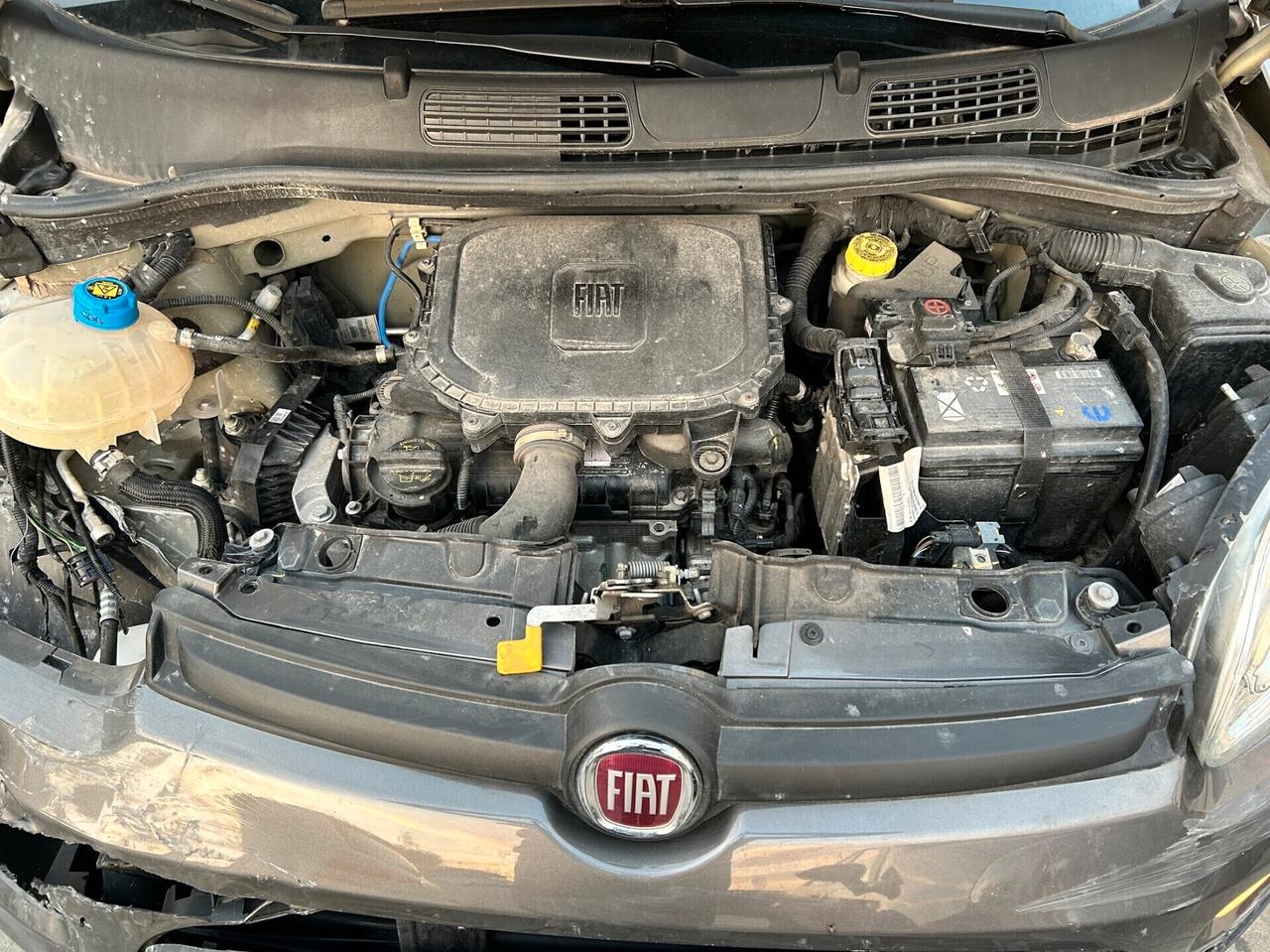 Fiat New Panda 1.0 Hybrid - 2021 Incidentata