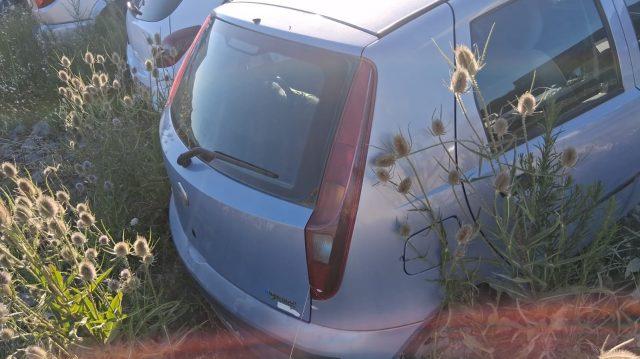 FIAT Punto 1.2 5 porte Active Natural Power OK NEOPATETNTANO