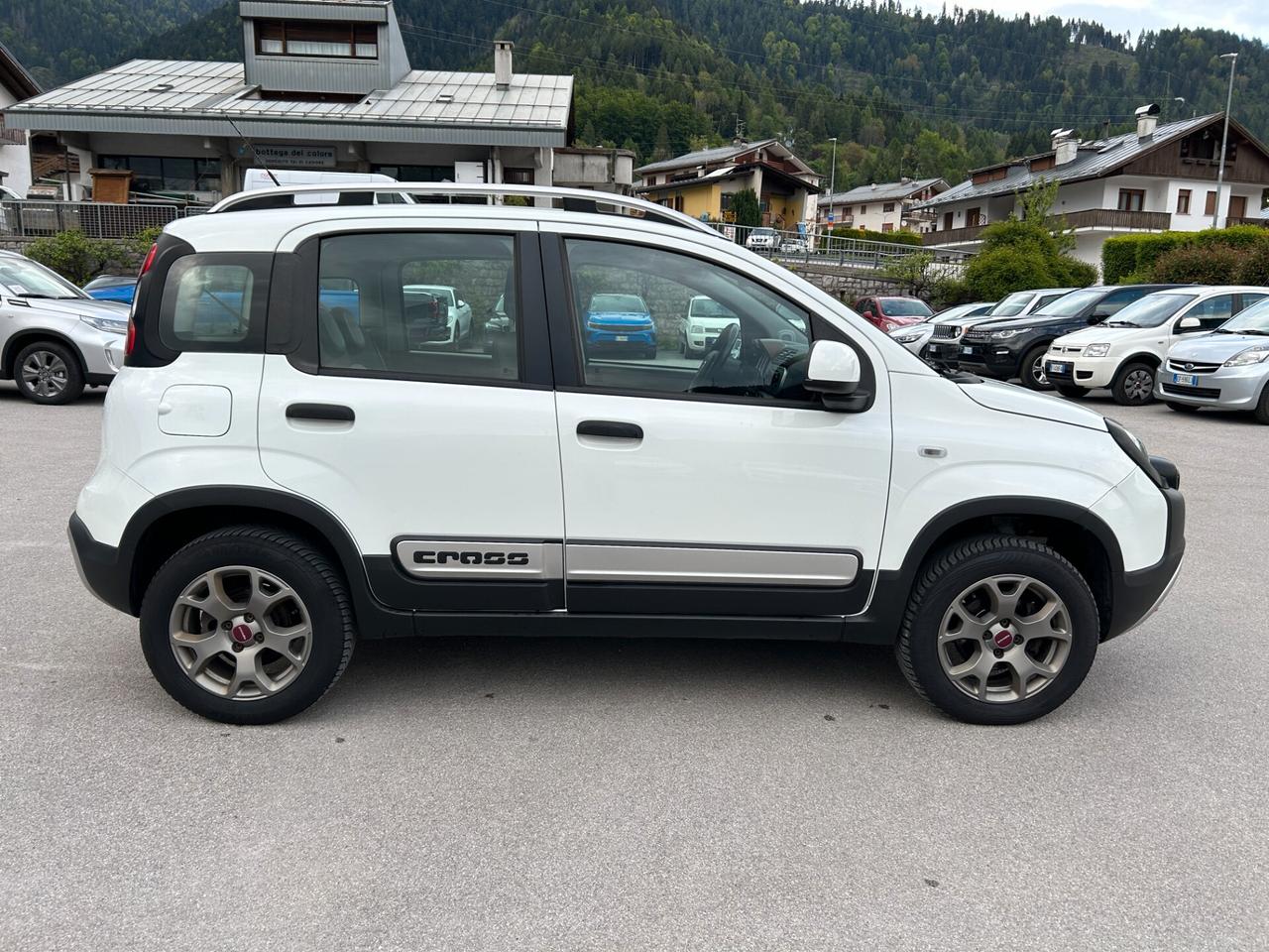Fiat Panda Cross 1.3 MJT 95 CV S&S 4x4