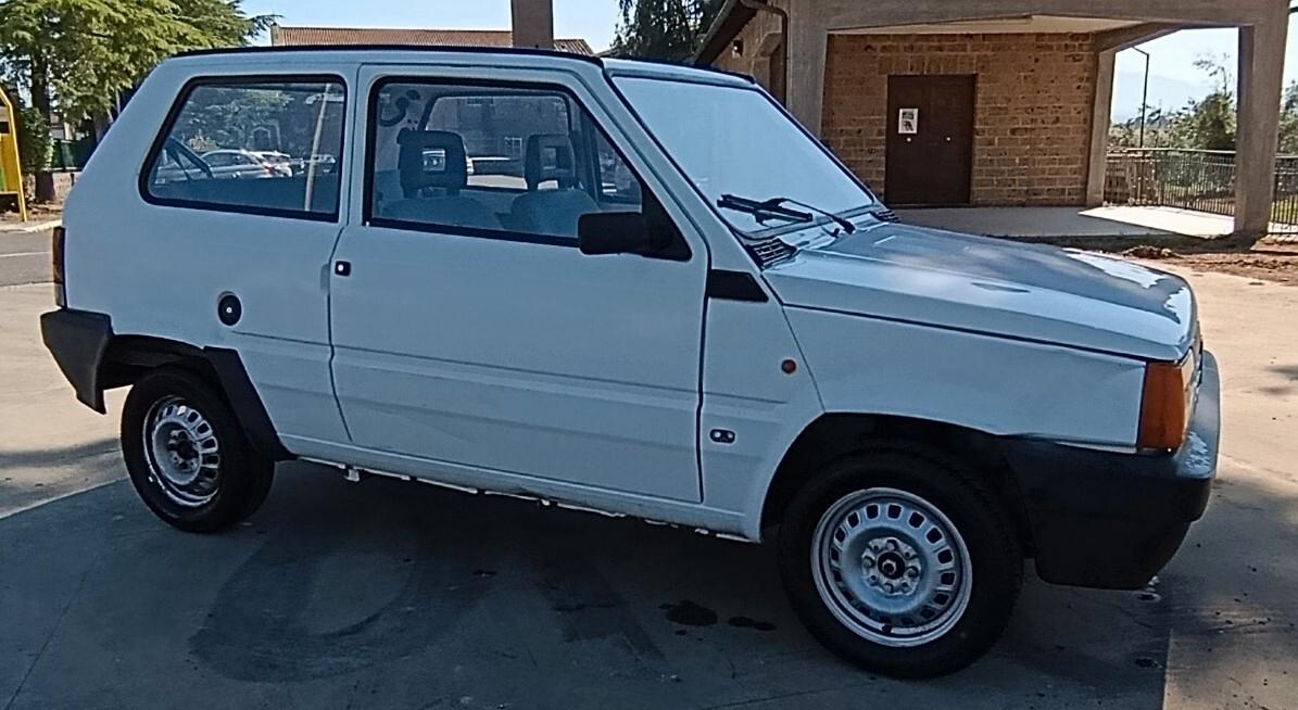 Fiat Panda 900 i.e. cat Young