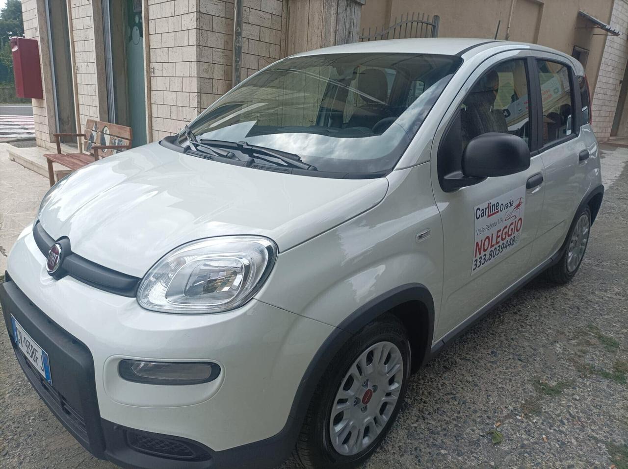 FIAT PANDA 1.0 2024