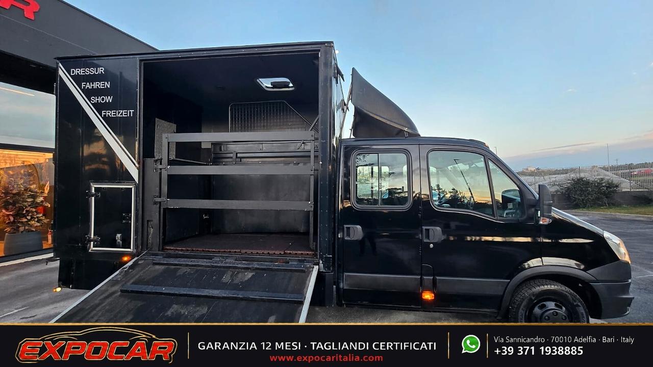 Iveco Daily - Trasporto Cavalli