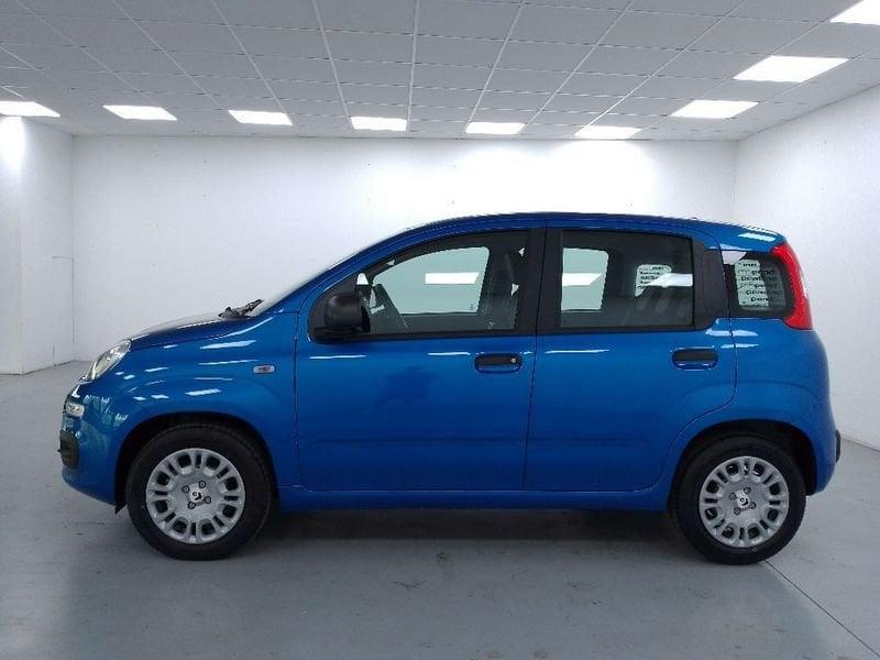 FIAT Pandina 1.0 firefly hybrid Icon s e s 70cv 5p.ti