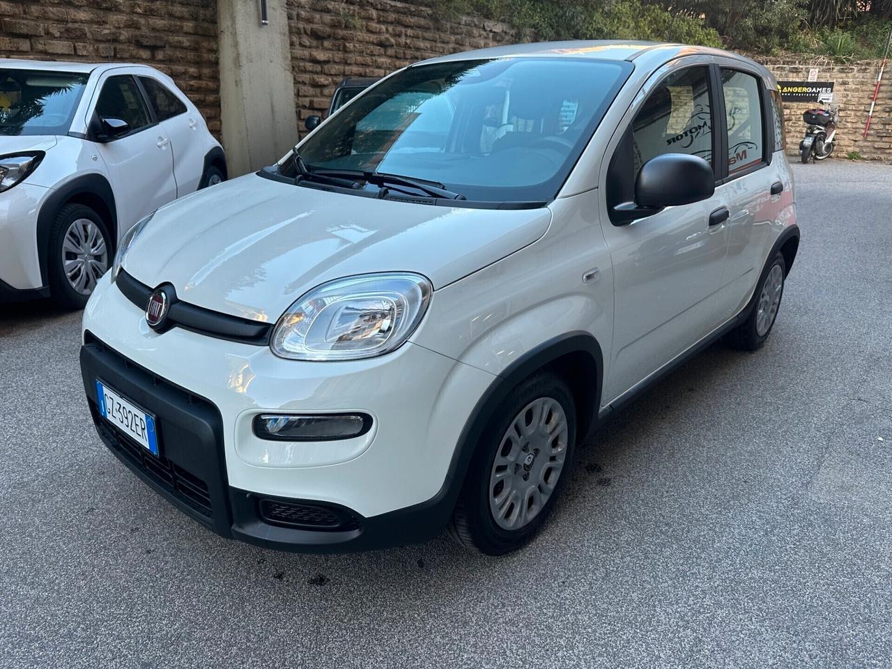 Fiat Panda Pandina 1.0 HY Icon 03/25 KM.17931