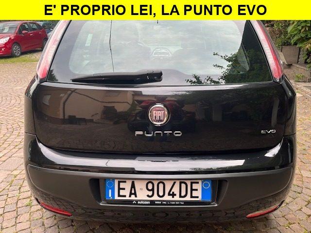 FIAT Punto Evo 1.3 Mjt 75 CV 5P. Neopatentati