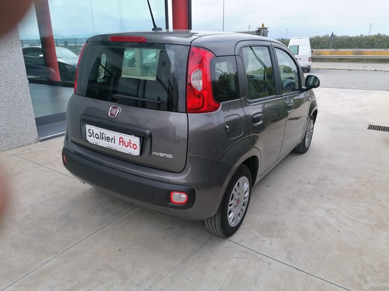 Fiat Panda 1.0 FireFly S&S BENZINA