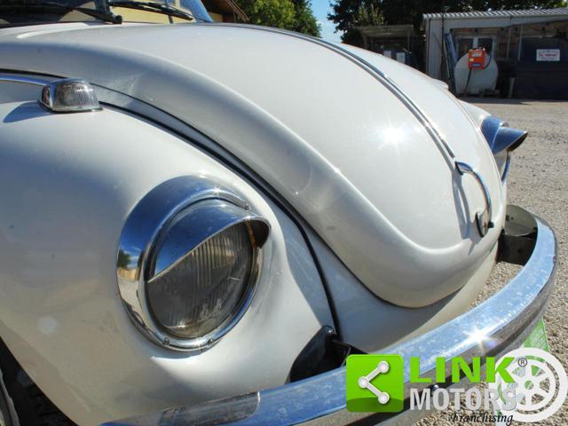 VOLKSWAGEN Maggiolone 13 D1 / Targata Roma / Matching Numbers