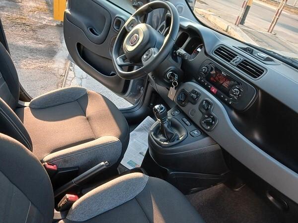 FIAT PANDA HYBRID 1.0 FireFly 70 CV S&S CITY LIFE
