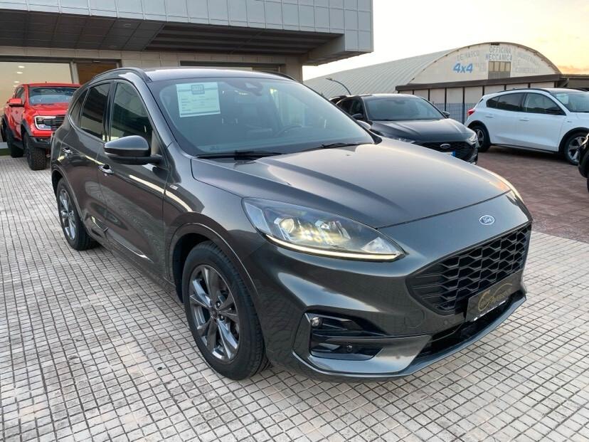 Ford Kuga 1.5 EcoBlue 120 CV 2WD ST-Line