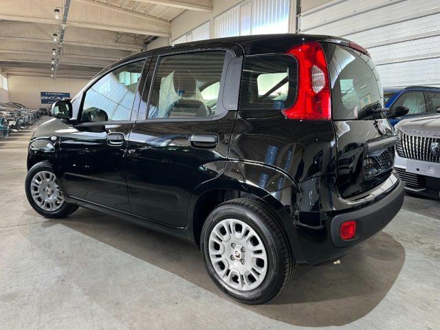FIAT Panda 1.0 FireFly Hybrid Icon Pandina/PACK CITY+PARK