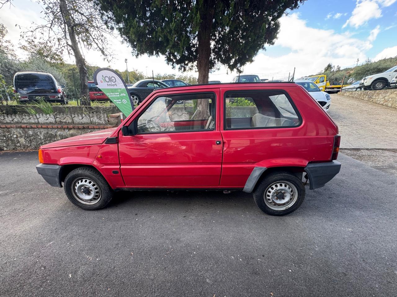 Fiat Panda 900 i.e. cat Young