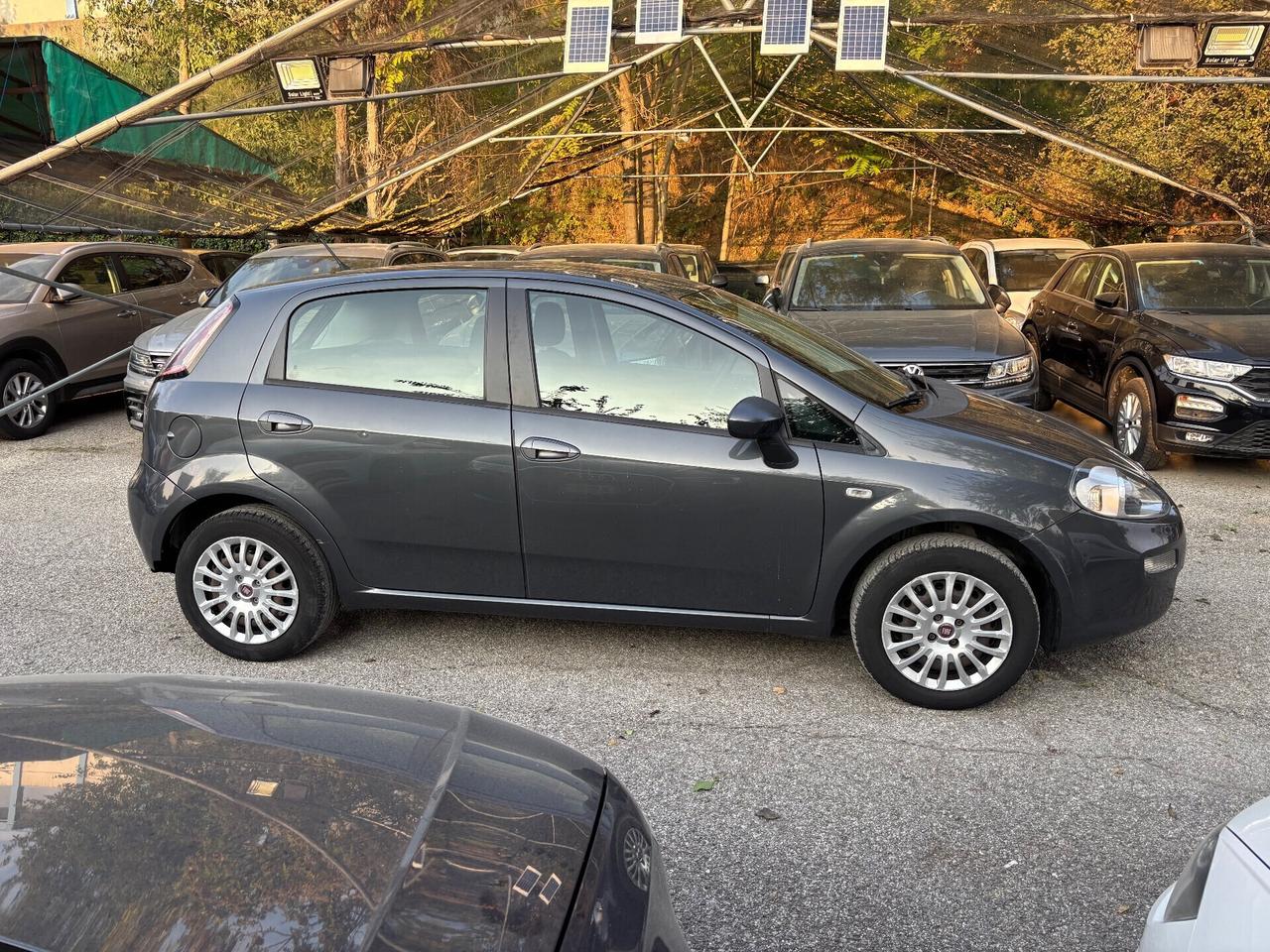 Fiat Punto 1.2 8V 5 porte Lounge OK Neopatentati