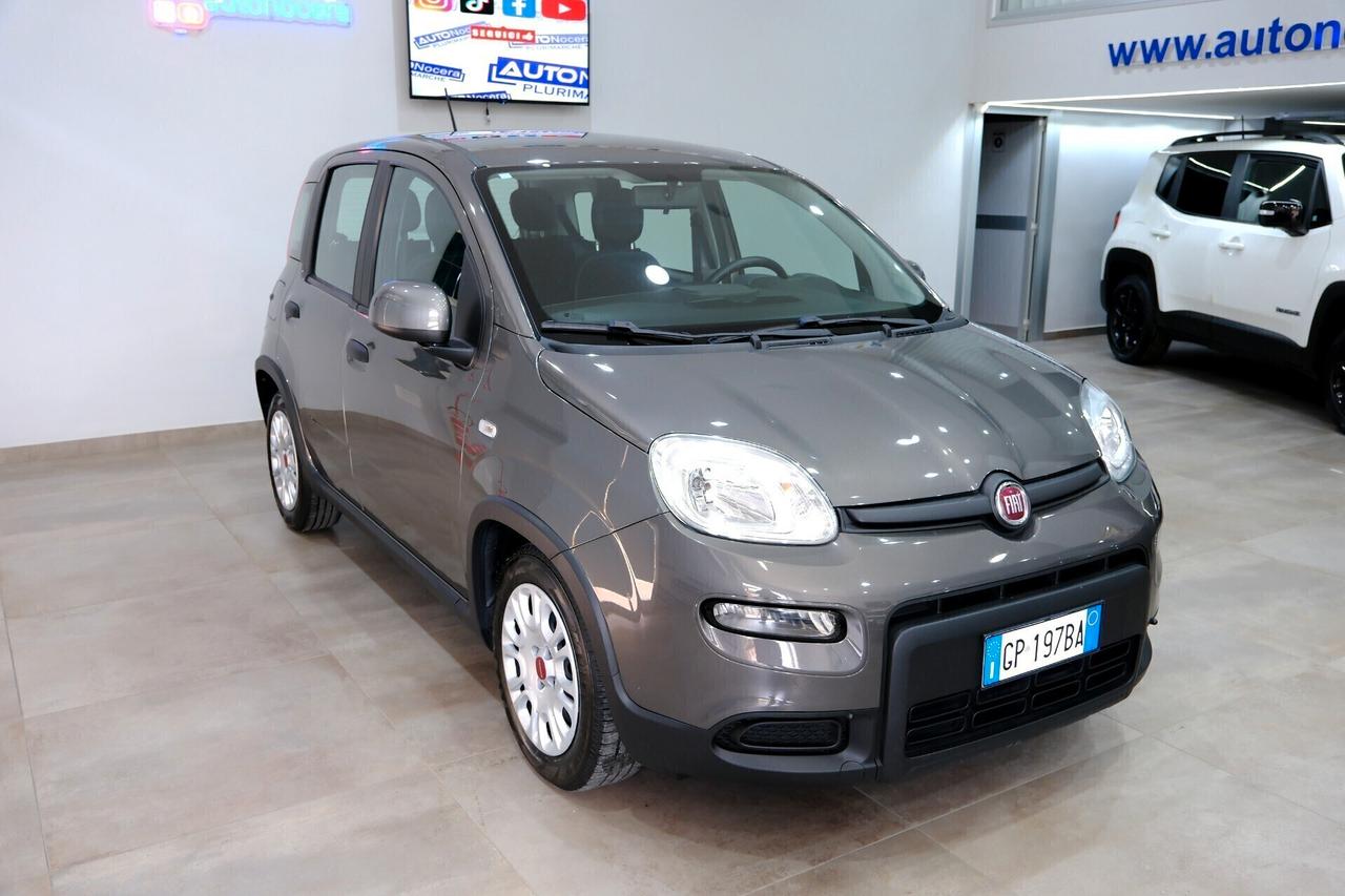 Fiat Panda Hybrid 1000 70cv City Life