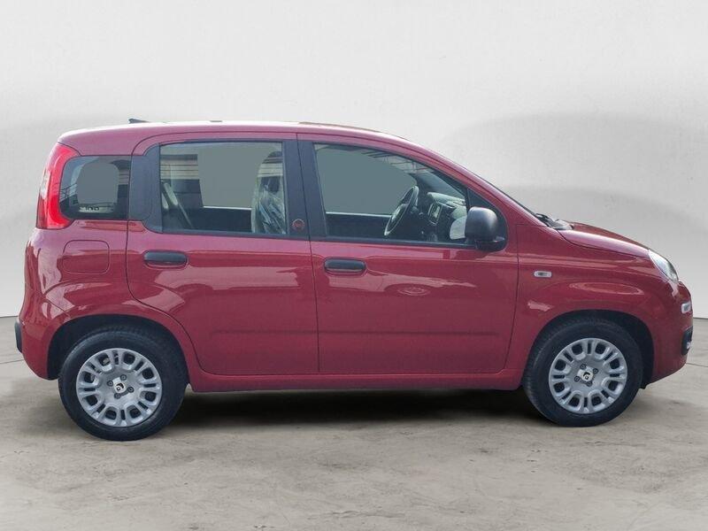 FIAT Panda NEW 1.0 70cv Hybrid Icon