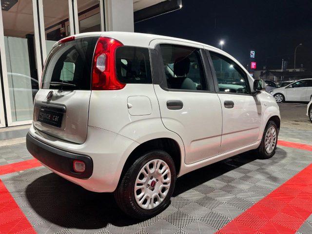 FIAT Panda 1.2 Easy *OK NEOPATENTATO*