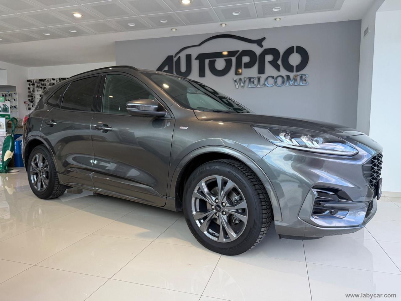 FORD Kuga 1.5 EcoBlue 120 CV 2WD ST-Line