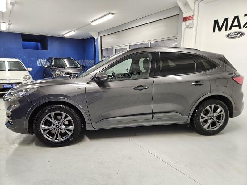 Ford Kuga 1.5 ecoblue ST-Line X 2wd 120cv