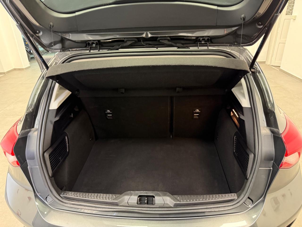 Ford Focus 1.5 EcoBlue 120 CV automatico 5p. Business Co-Pilot