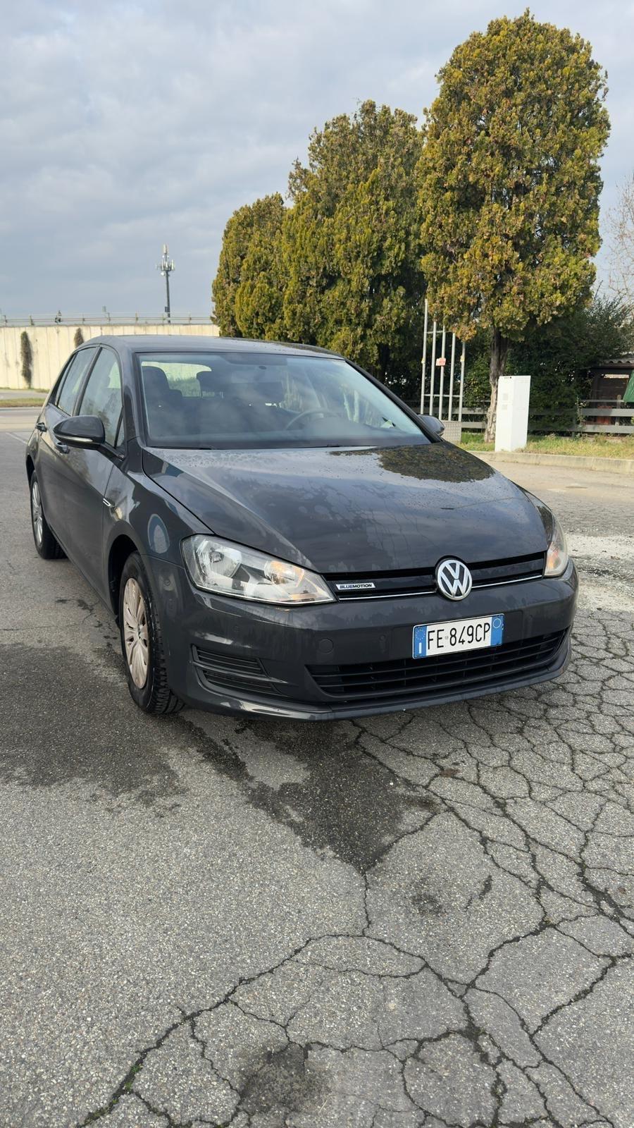 Volkswagen Golf 1.4 TGI 5p. Trendline BlueMotion